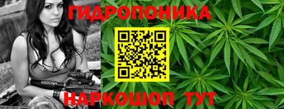 мяу мяу мука Среднеуральск