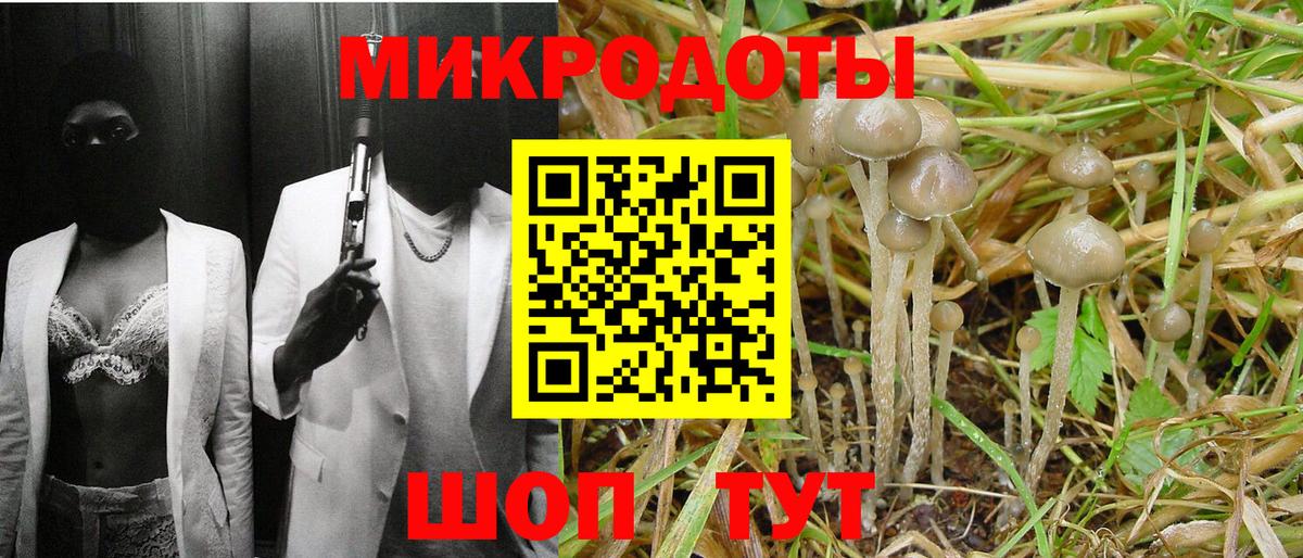 Галлюциногенные грибы прущие грибы  Вход с VPN  Псилоцибиновые грибы мицелий  Норильск 