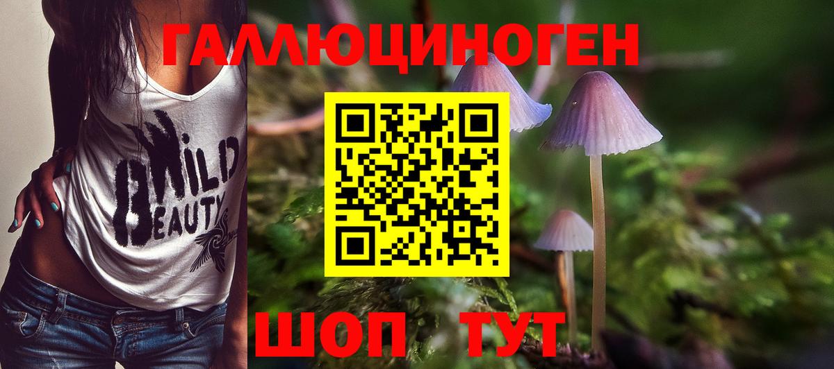 Псилоцибиновые грибы Cubensis Норильск