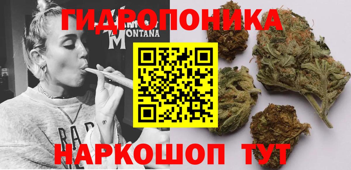 Каннабис семена Норильск